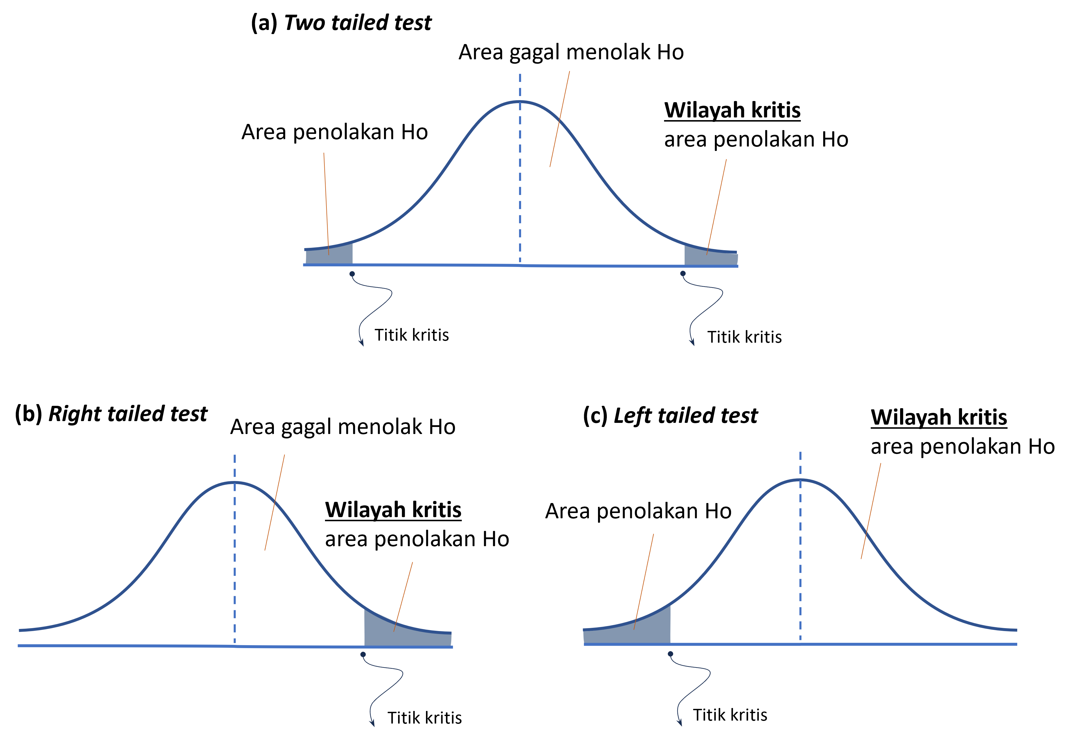 Ilustrasi Titik Kritis pada Kurva Distribusi Normal